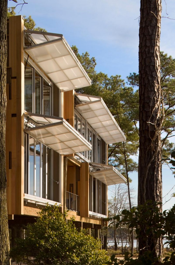 Loblolly Windows