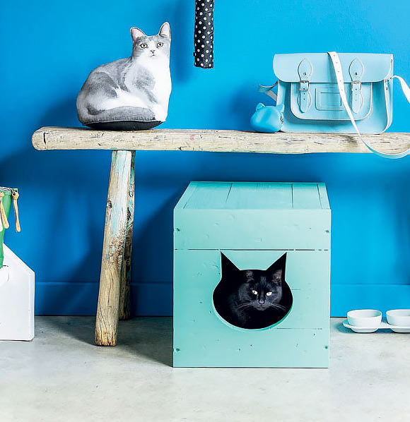Cat House Design