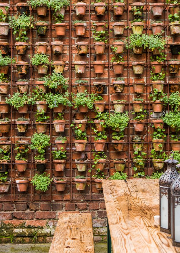 potted wall garden design inspiration