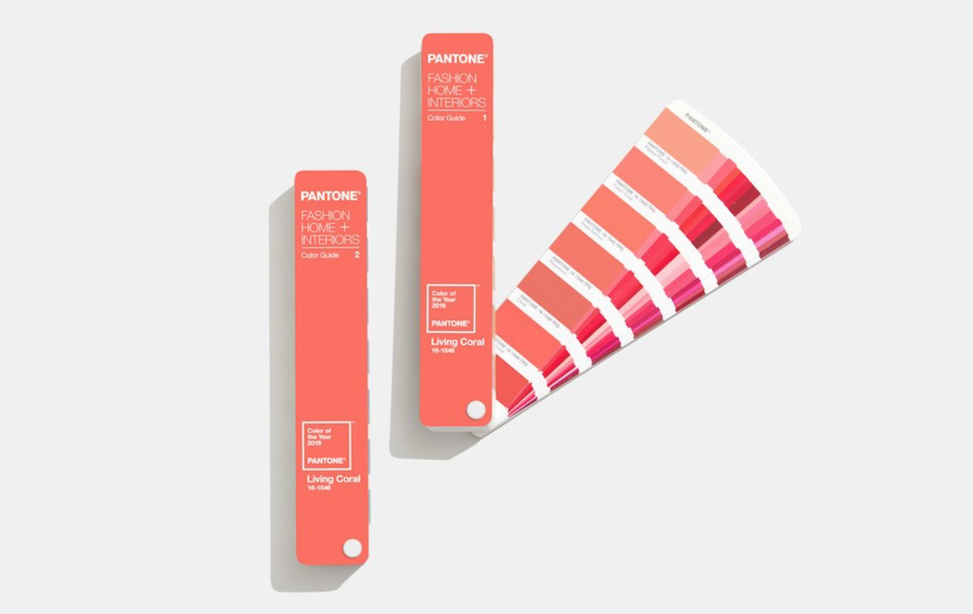 Pantone Color of the Year 2019 Swatch